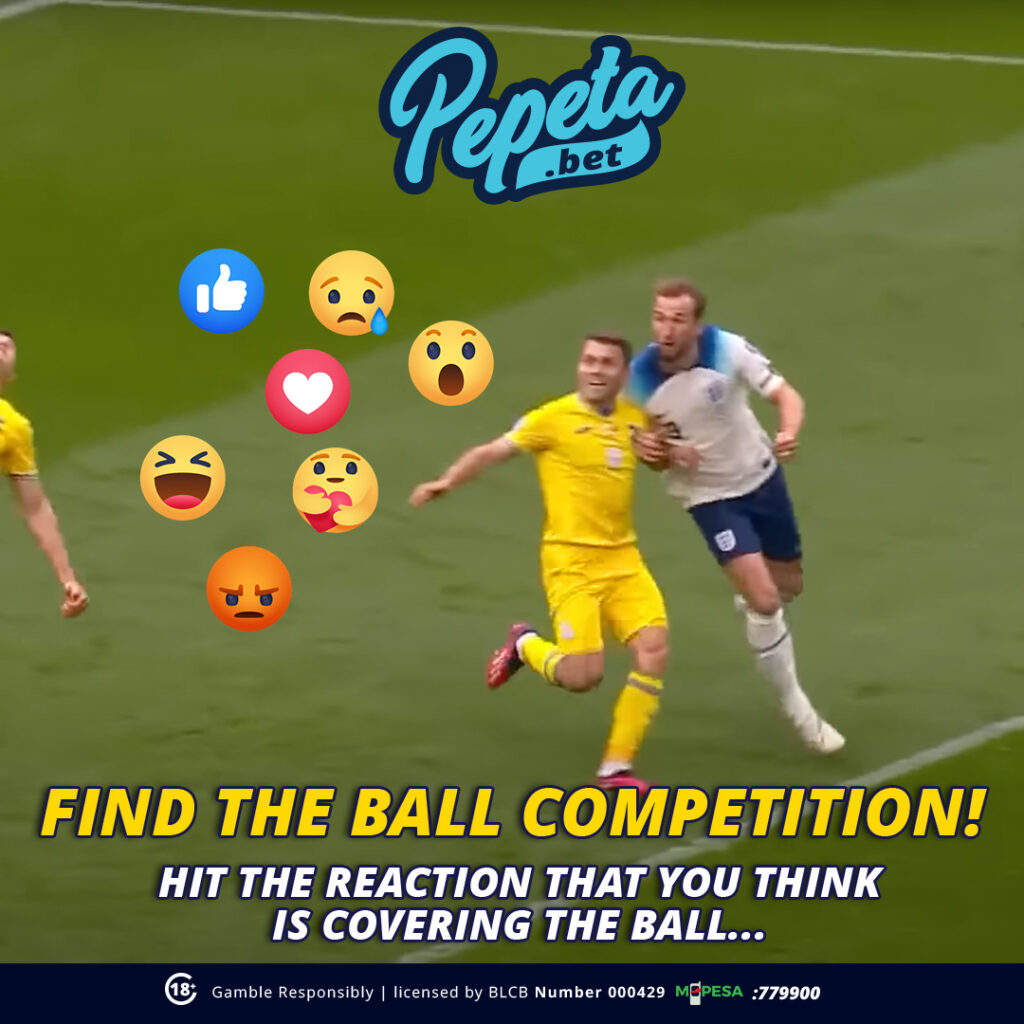 Sportsbook & Igaming Portfolio find the ball game 01