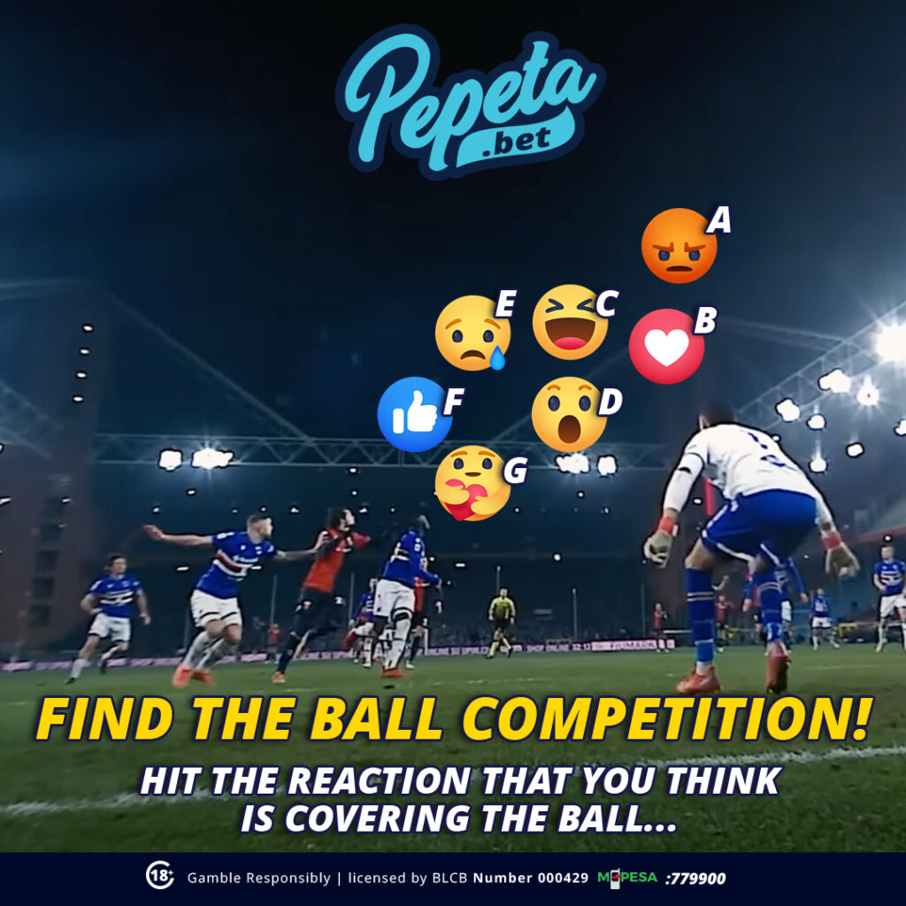 Sportsbook & Igaming Portfolio find the ball game 02